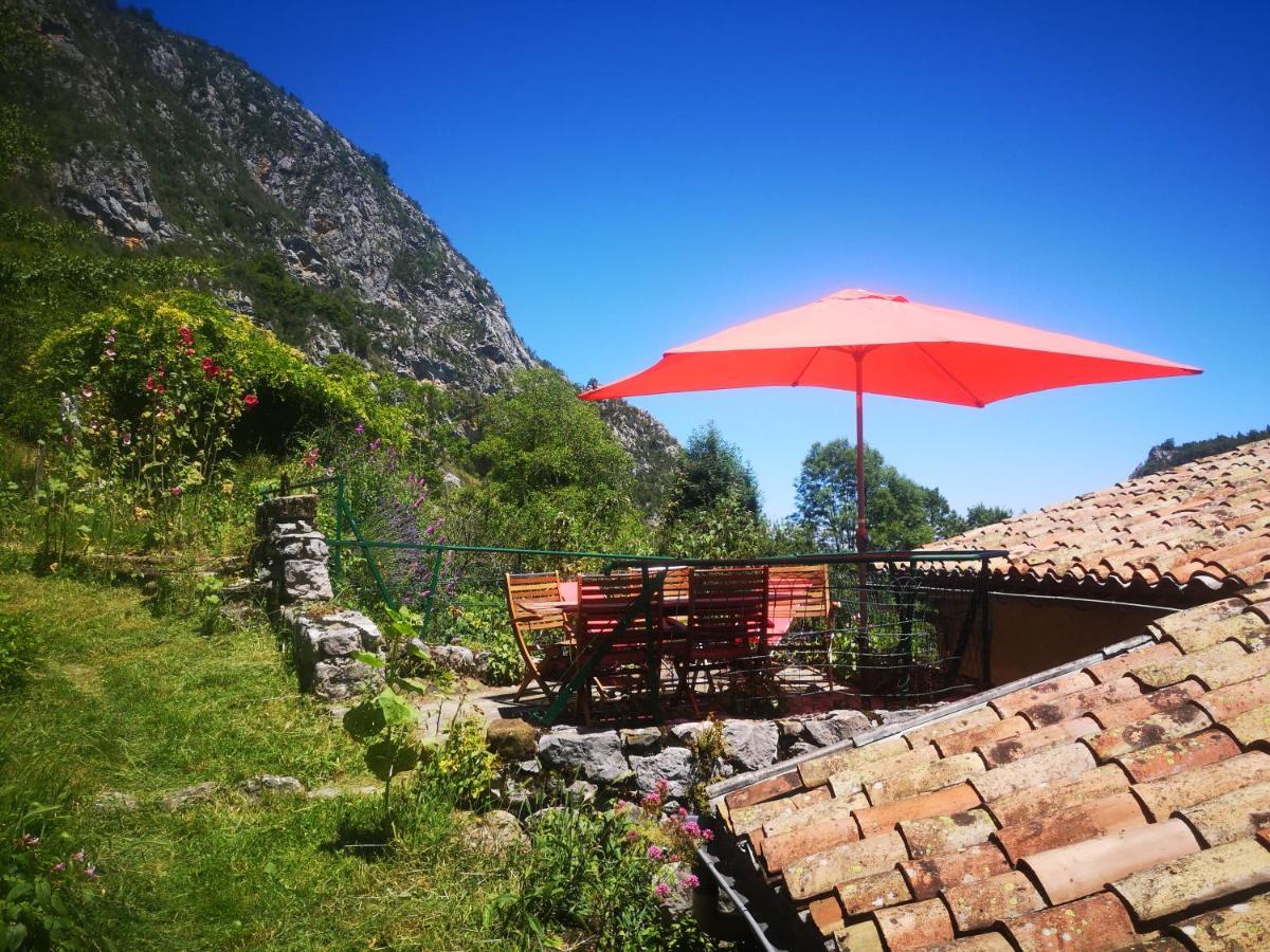 La Maison Sous Le Chateau Montsegur Bagian luar foto
